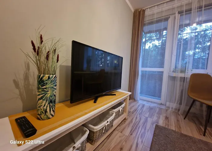 Apartament Wapienna